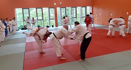 Eine Gruppe von Judoka in Trainingsanzügen übt Techniken auf einer Judomatte. Einige Partner üben Würfe und Griffe. Der Raum hat große Fenster, die einen Blick auf die Außenwelt ermöglichen, und die Wände sind orange gestrichen.
