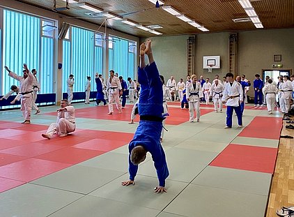 In einem Judo-Trainingsraum üben zahlreiche Personen in weißen und blauen Judogis auf Matten. Ein Sportler in einem blauen Anzug macht einen Handstand, während andere verschiedene Judo-Techniken ausführen. Die Wände sind mit großen Fenstern ausgestattet, die viel Tageslicht hereinlassen.
