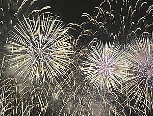 Das Bild zeigt ein spektakuläres Feuerwerk mit leuchtenden, bunten Effekten, die den dunklen Nachthimmel erhellen. Die Feuerwerkskörper explodieren in verschiedenen Formen und Farben, darunter Gold und Violett, und schaffen eine festliche Atmosphäre.