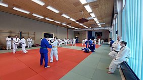 Eine Gruppe von Judo-Praktizierenden trainiert auf einer Matte in einem Sportraum. Einige Personen führen Techniken aus, während andere zuschauen oder sich unterhalten. Die Atmosphäre ist aktiv und konzentriert, mit einer gemischten Anzahl von Trainierenden in verschiedenen Judo-Anzügen.